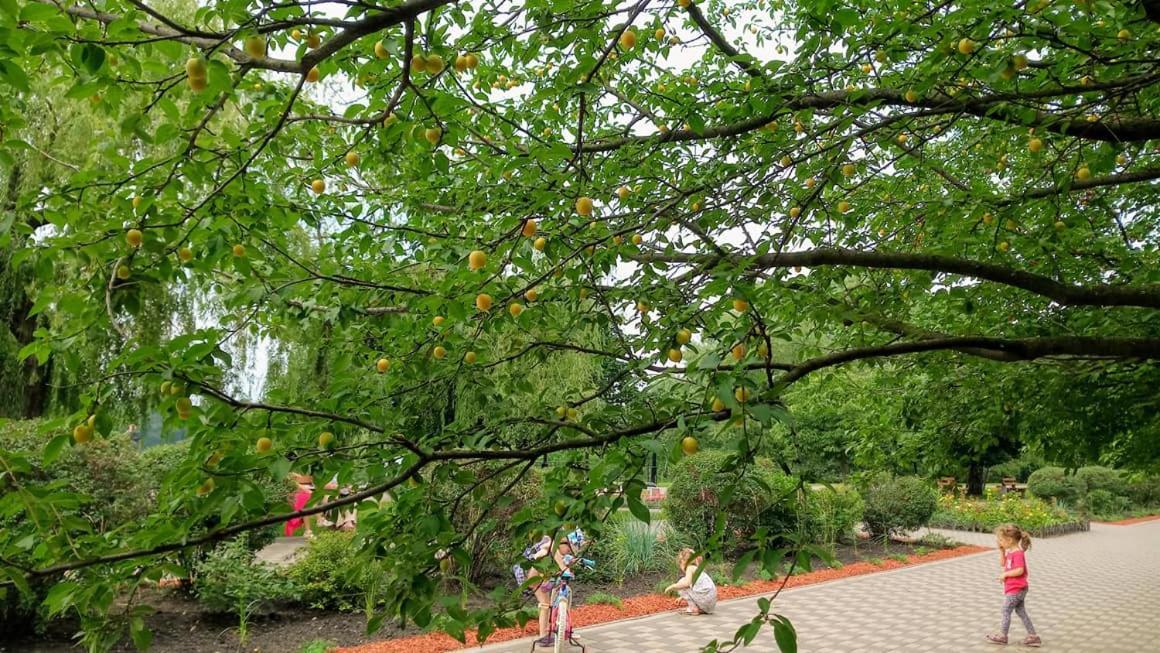 Apartment On Rusanivska Naberezhnaya 22 Київ Екстер'єр фото
